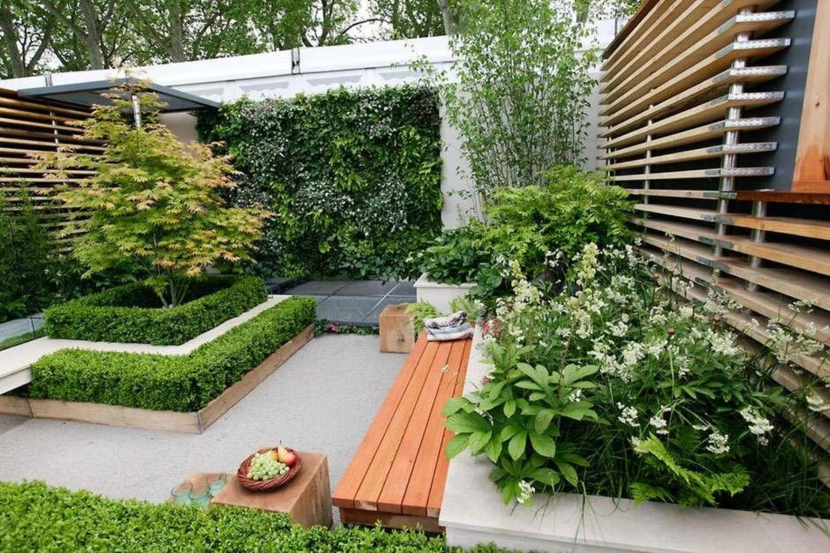 Menos plantas, más estilo: Tu jardín perfecto con mínimo esfuerzo - image 1
