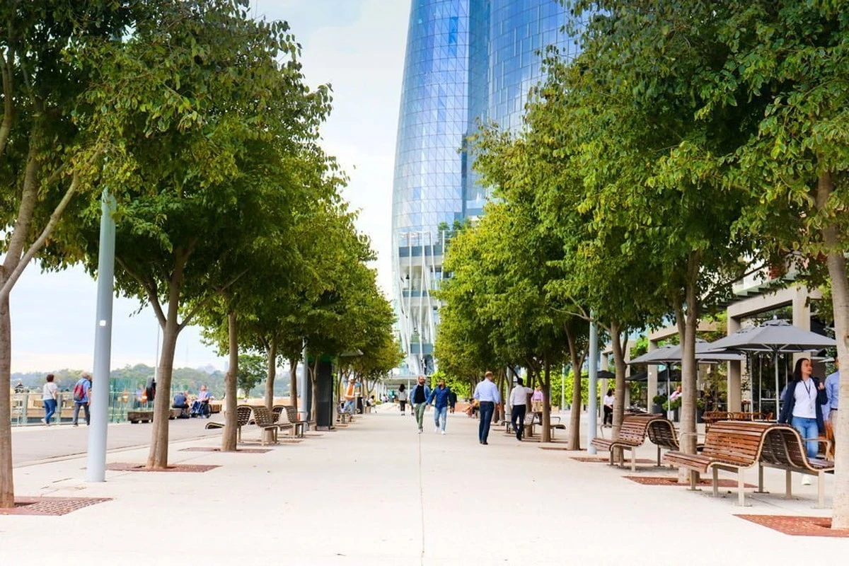 Municipio de Varna: el truco legal para plantar un árbol y revalorizar tu casa - image 1