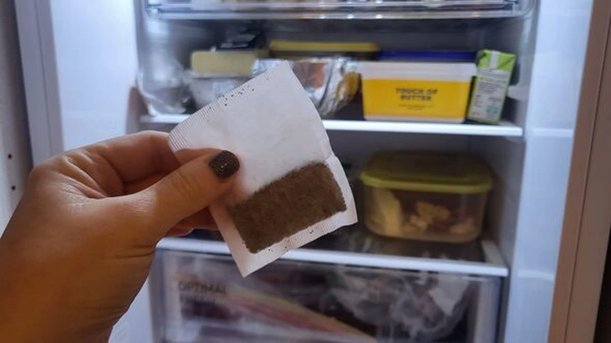 Nevera con mal olor: el truco de las bolsitas de té para dejarla impecable - image 1