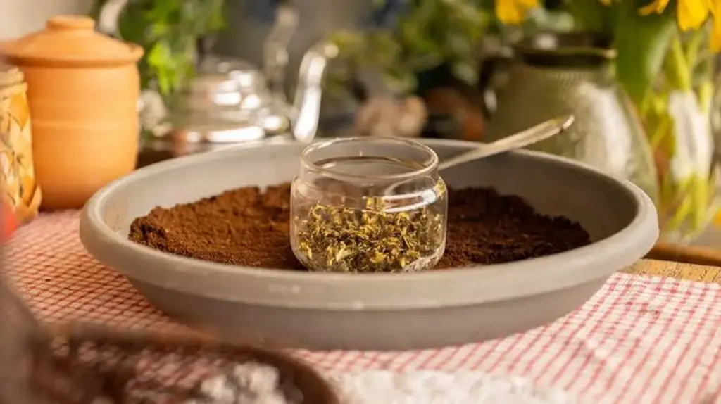 No los tires: usa tus posos de café como fertilizante para ver tus plantas explotar