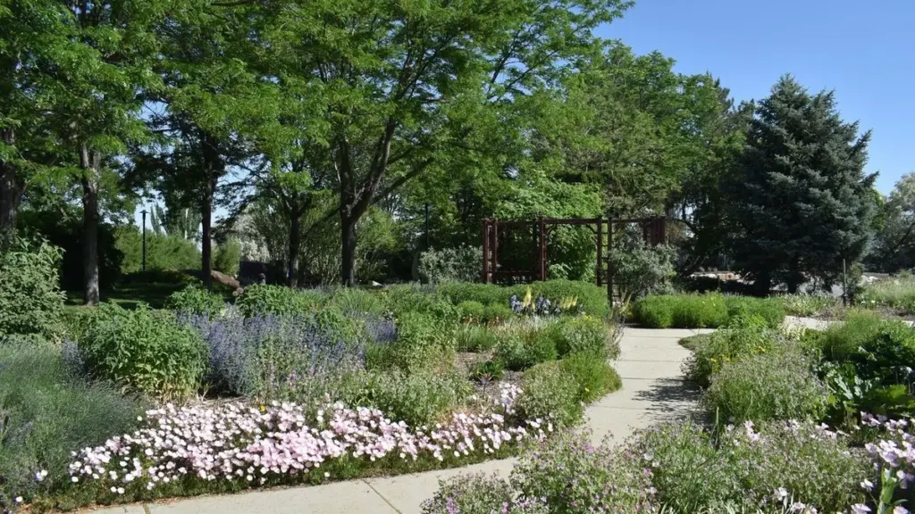 No riegues aún: Shaun Moser y el Jordan Valley Water Conservancy District explican por qué