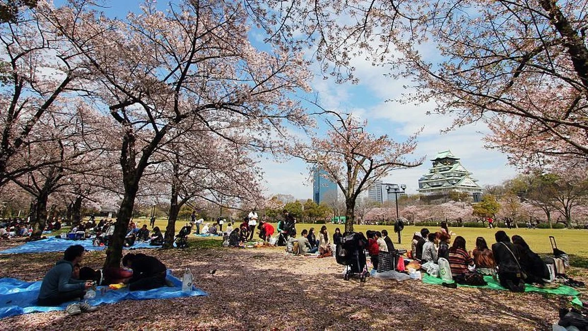 Parque del Castillo de Osaka: el secreto de Patina Osaka para un picnic de lujo - image 1