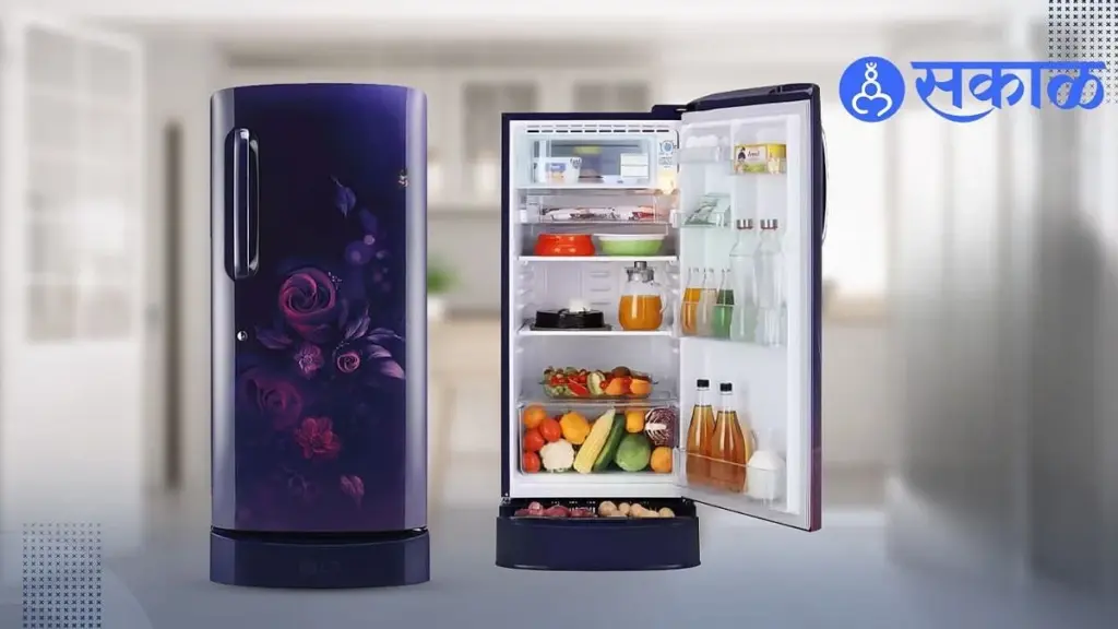 Peligro en tu refrigerador: el error común que debes evitar antes del verano