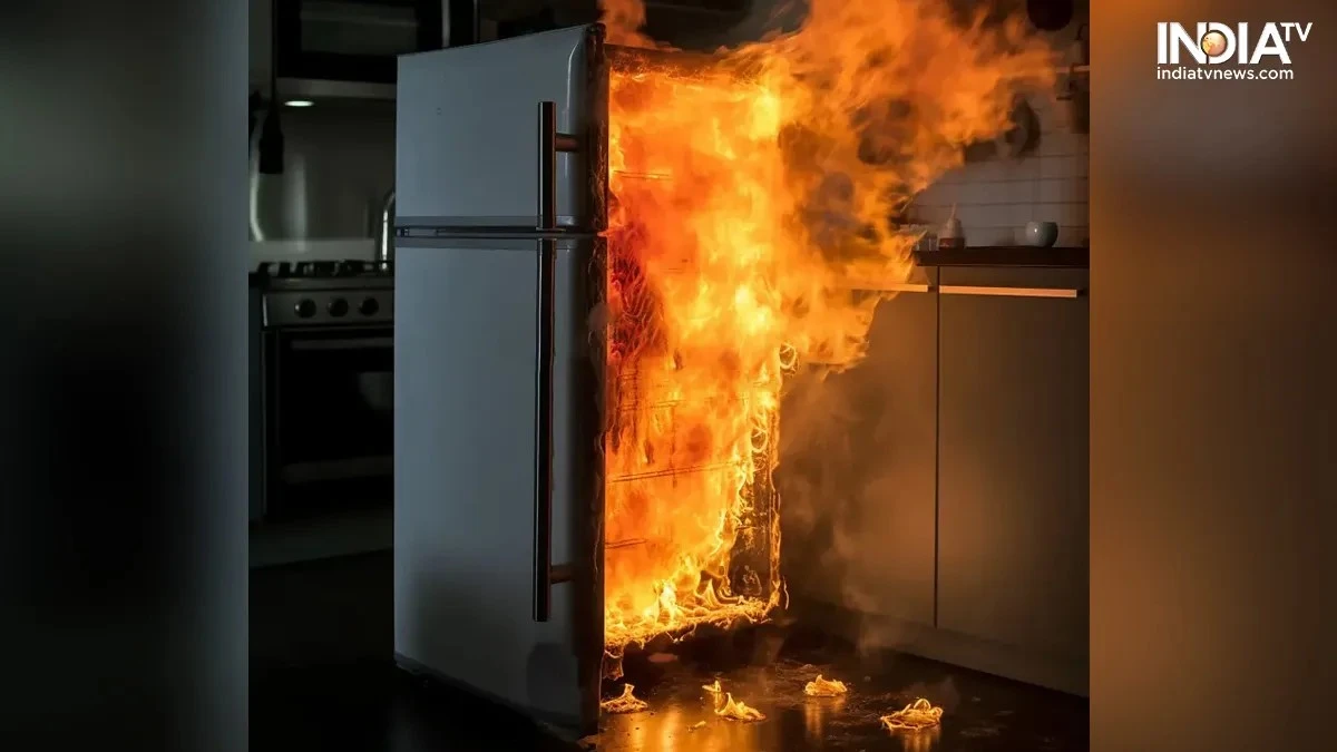 Peligro en tu refrigerador: el error común que debes evitar antes del verano - image 1