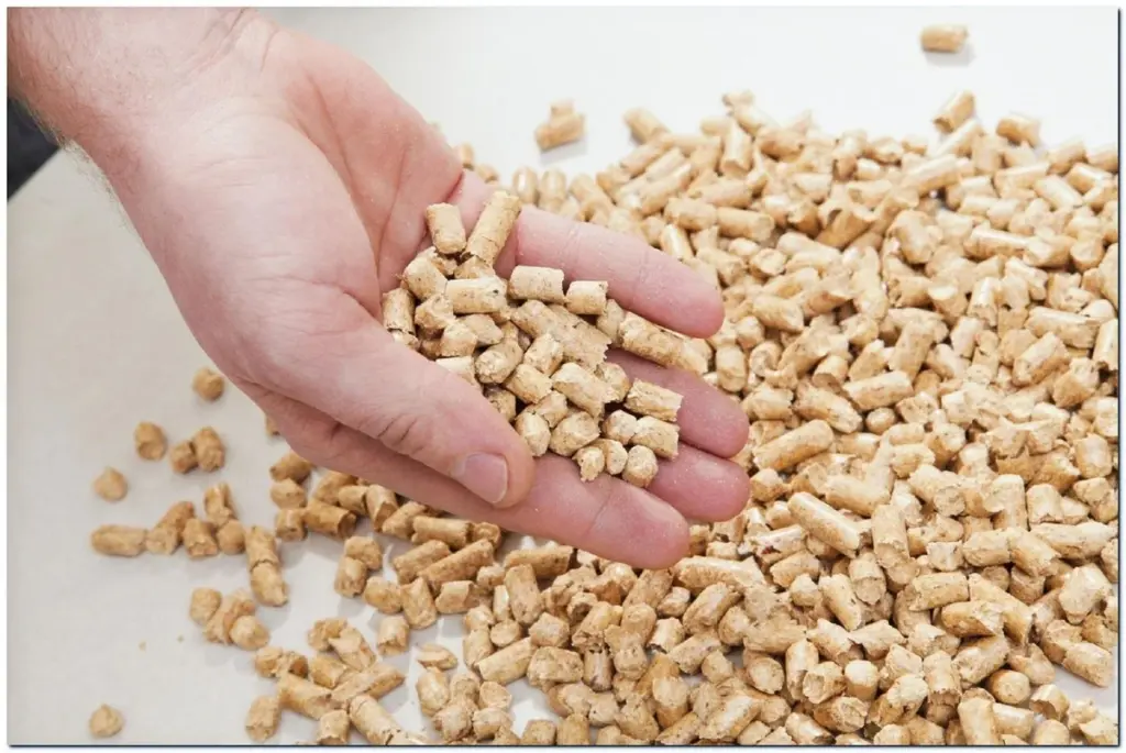 Pellet de madera: por qué lo que pasa en Polonia bajará tu factura un 30%