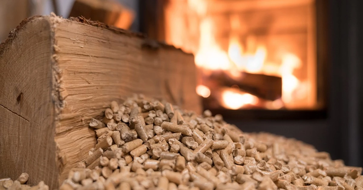 Pellets de madera: el truco de Alemania para pagar un 50% menos de calefacción - image 1