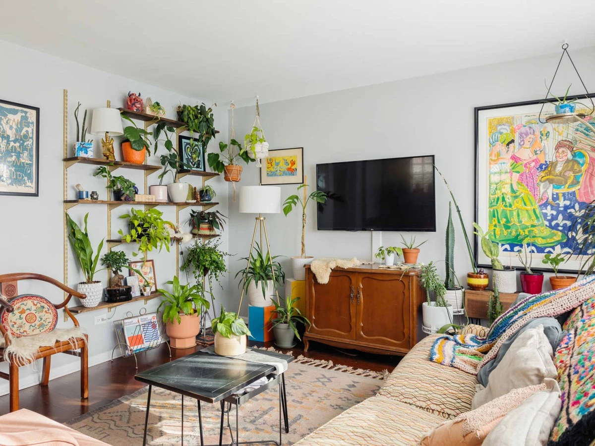 Plantas de interior: el truco del papel de aluminio en tu Jardinería - image 1