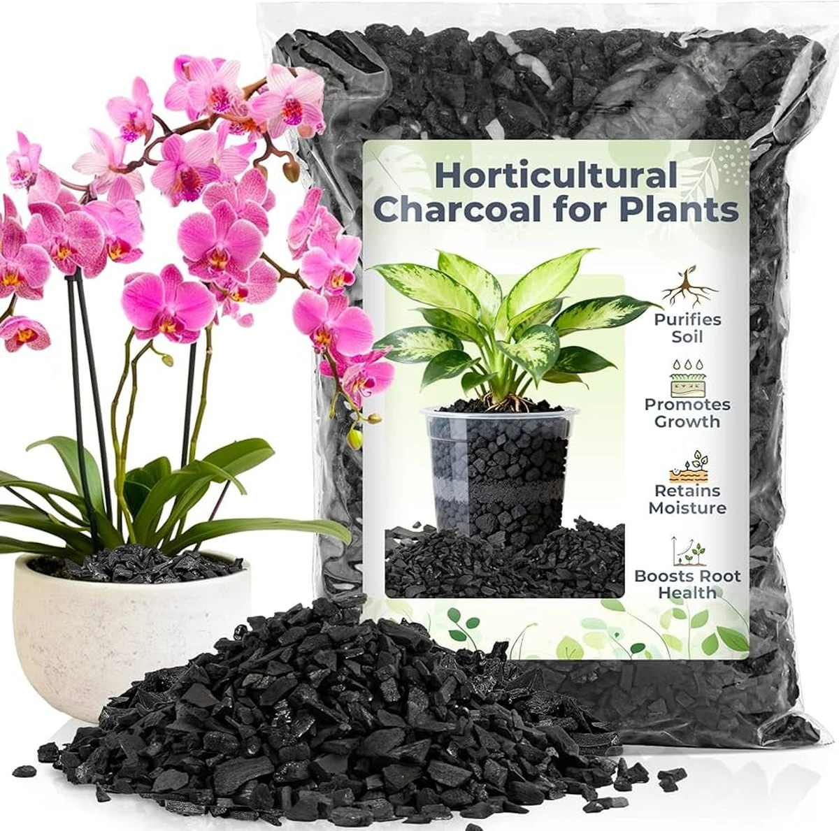 Plantas marchitas: el truco del carbón para salvar tu jardín y exteriores - image 1