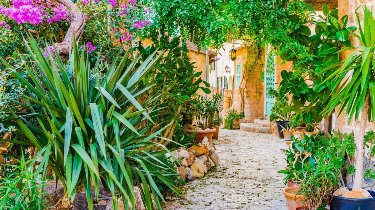 Plantas perennes ante el calor: el truco de la Sunsatia para un balcón fresco - image 1