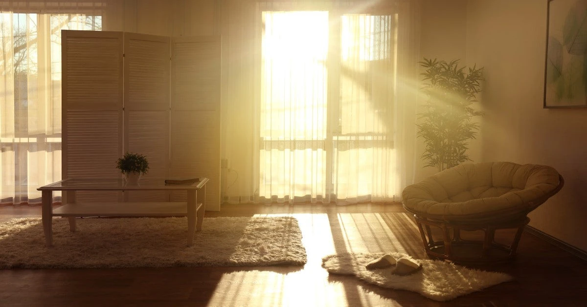 Por qué abrir las ventanas al amanecer eleva tu ánimo y purifica tu hogar - image 1