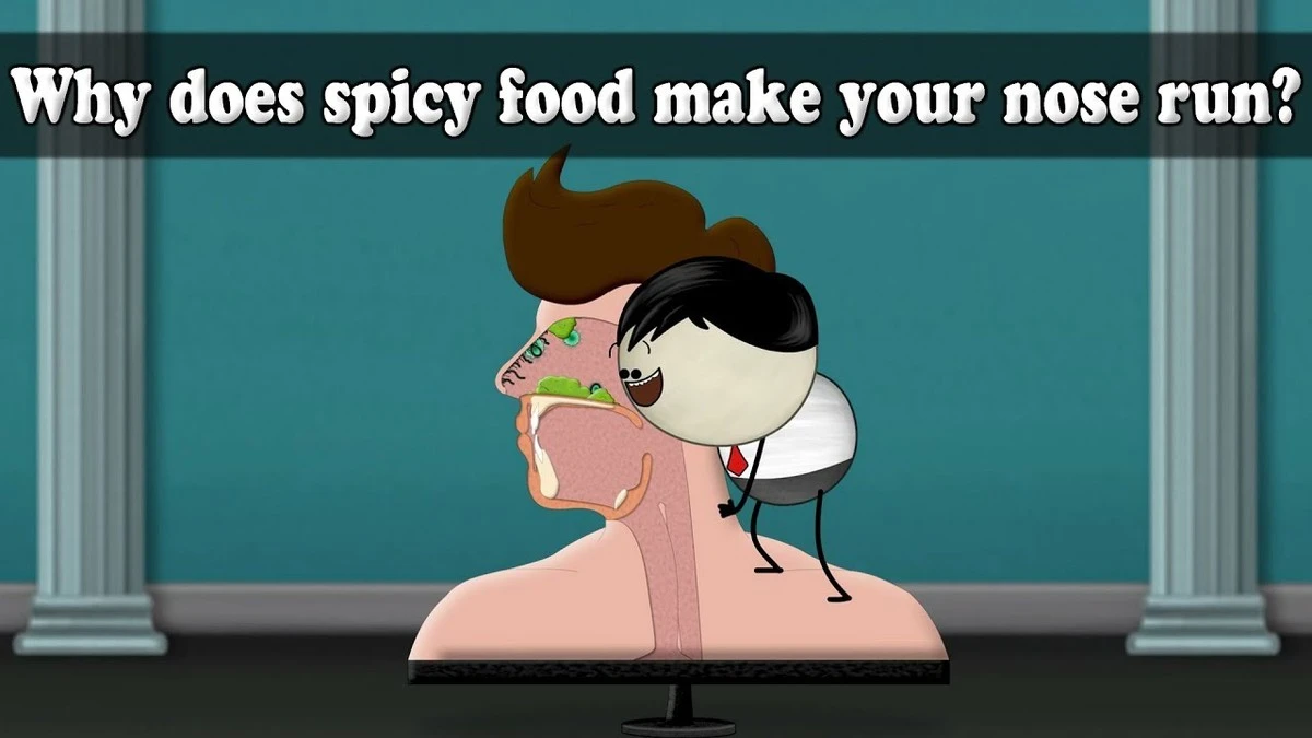 Por que seu nariz escorre quando você come algo picante? - image 1