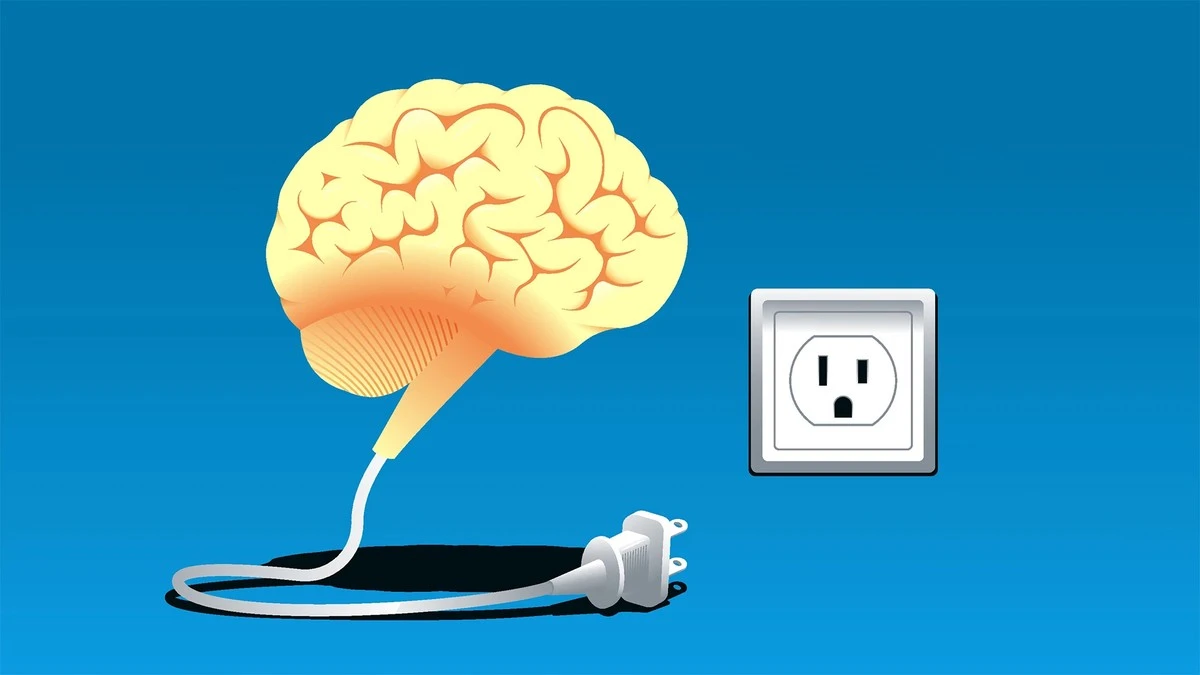 Por qué tu cerebro evita el esfuerzo extra después de comer: la ciencia detrás del agotamiento - image 1