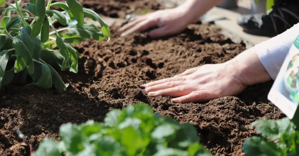 Primavera 2026: el truco del suelo para salvar tu Jardinería del calor
