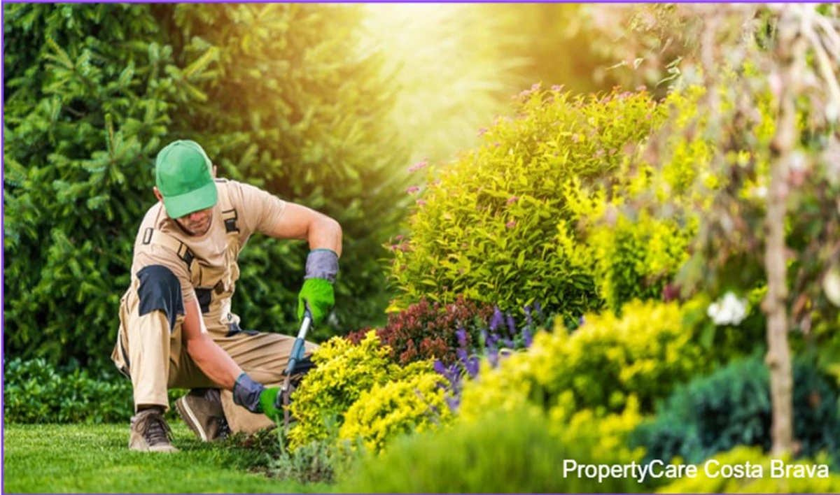 Primavera 2026: el truco del suelo para salvar tu Jardinería del calor - image 1