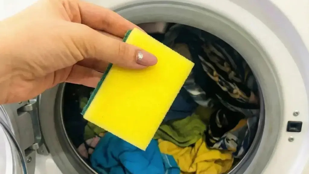 Salud, descanso y recuperación: nueces y limpieza con vinagre para tu Bricolaje y DIY