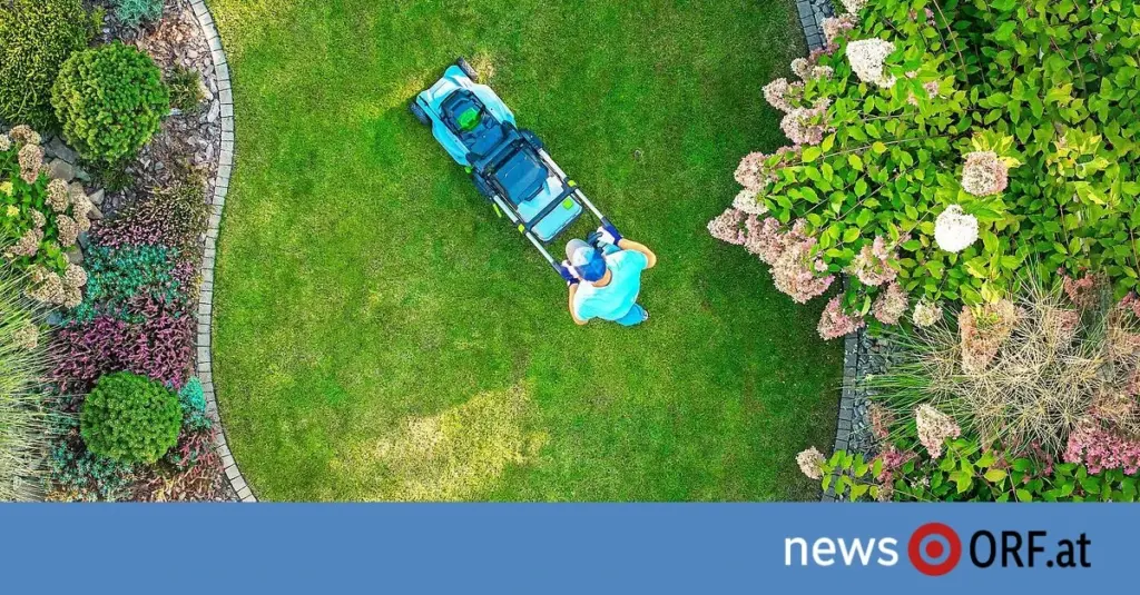 Sequía y cambio climático: el truco para salvar tu jardín sin recibir multas