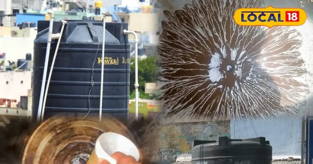 Tanque de agua impecable: el truco de 15 minutos para evitar bacterias este verano