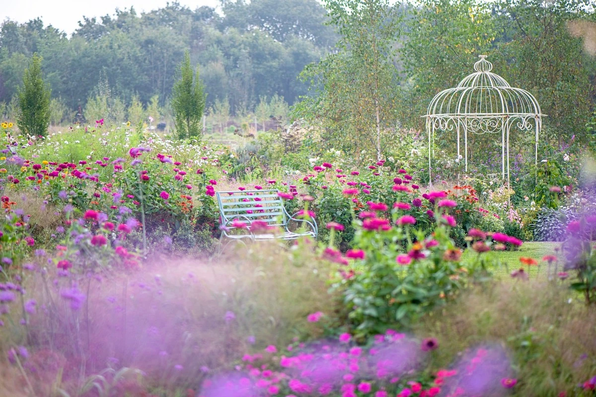 Tendencias de jardinería retro: xerojardinería y diseño de paisajes sostenible con grava - image 1