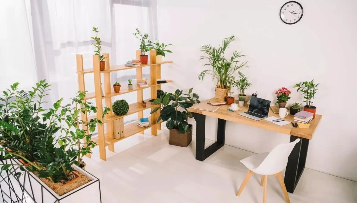 Transforma tu pasión por las plantas en un negocio: genera ingresos extra desde casa - image 1