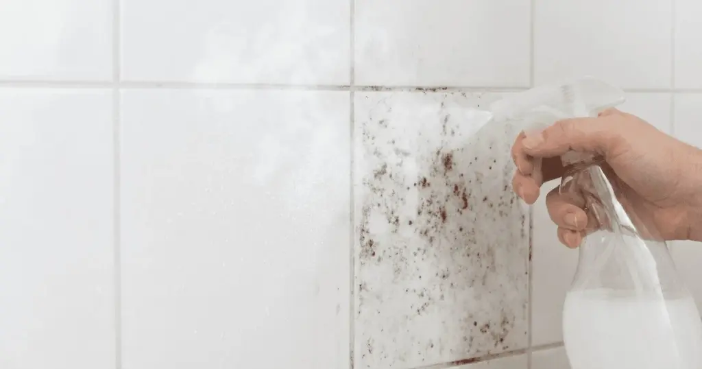 Un truco de limpieza: 1 cucharada en el agua del baño y el moho desaparece al instante