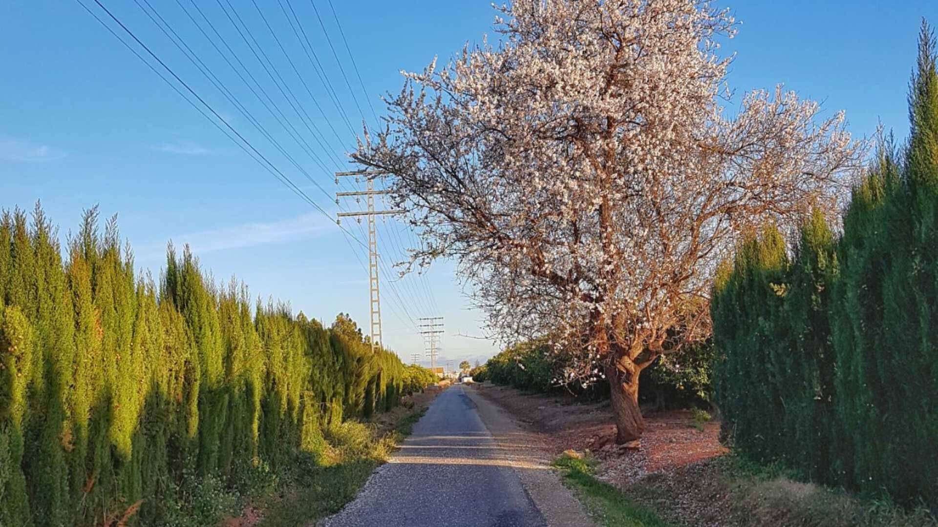 Foto: La vía verde que va paralela a la costa en Alicante. (Comunitat Valenciana)