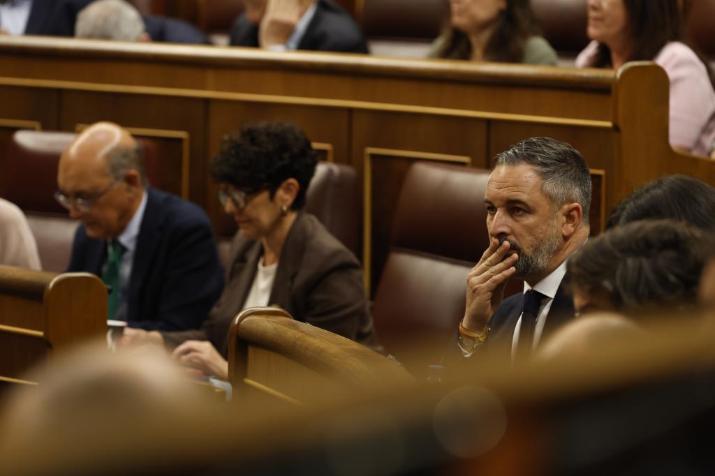 El líder de Vox, Santiago Abascal, el miércoles, durante la sesión de control al Gobierno en el Congreso.