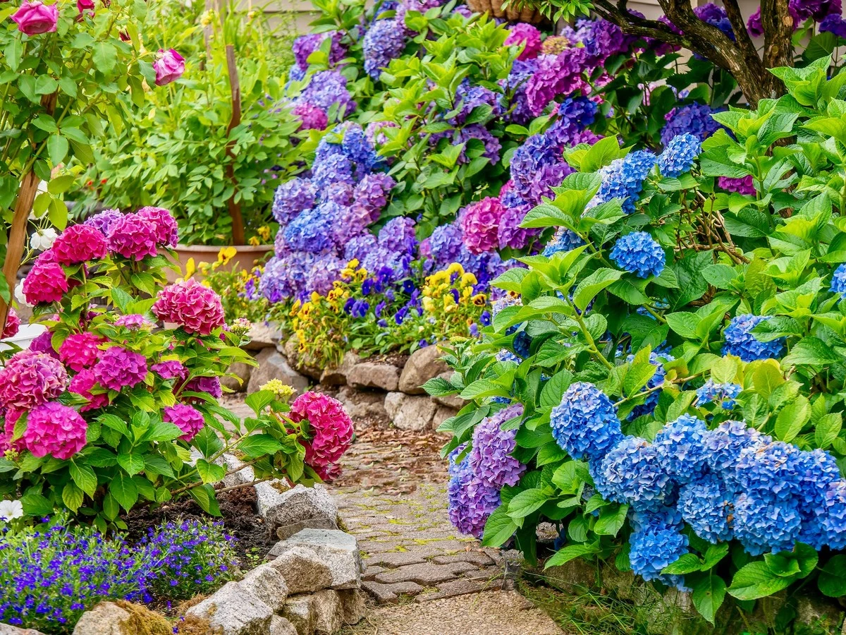 15 arbustos para plantar en abril: el secreto para revalorizar tu casa - image 1