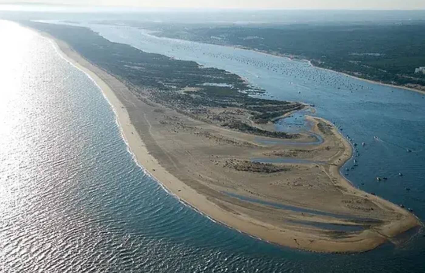 Foto: Descubre la playa que crece en este rincón de Huelva. (Turismo de Cartaya)