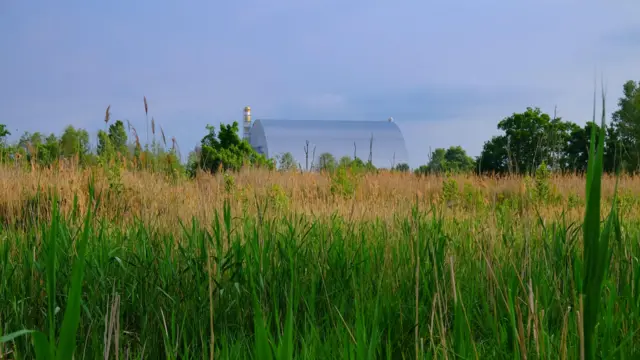 Una pradera verde y frondosa bordeada de árboles. Al fondo se observa parte de la central nuclear de Chernóbil, cubierta por el edificio plateado de confinamiento seguro.