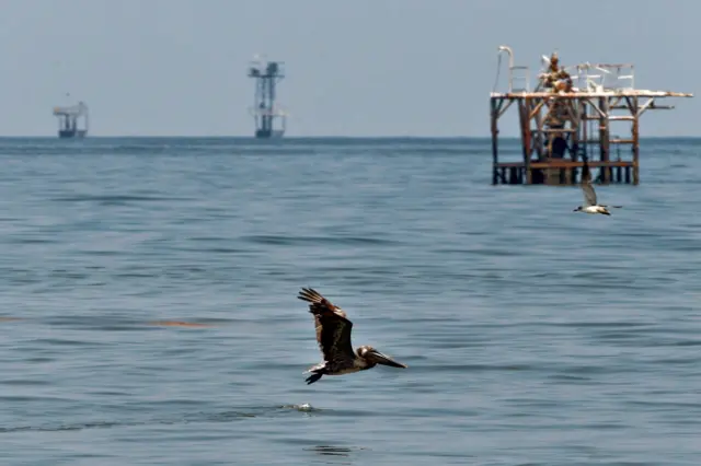 Dos aves sobrevuelan el mar con varias instalaciones petroleras de fondo