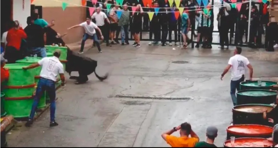 Momento de la cogida