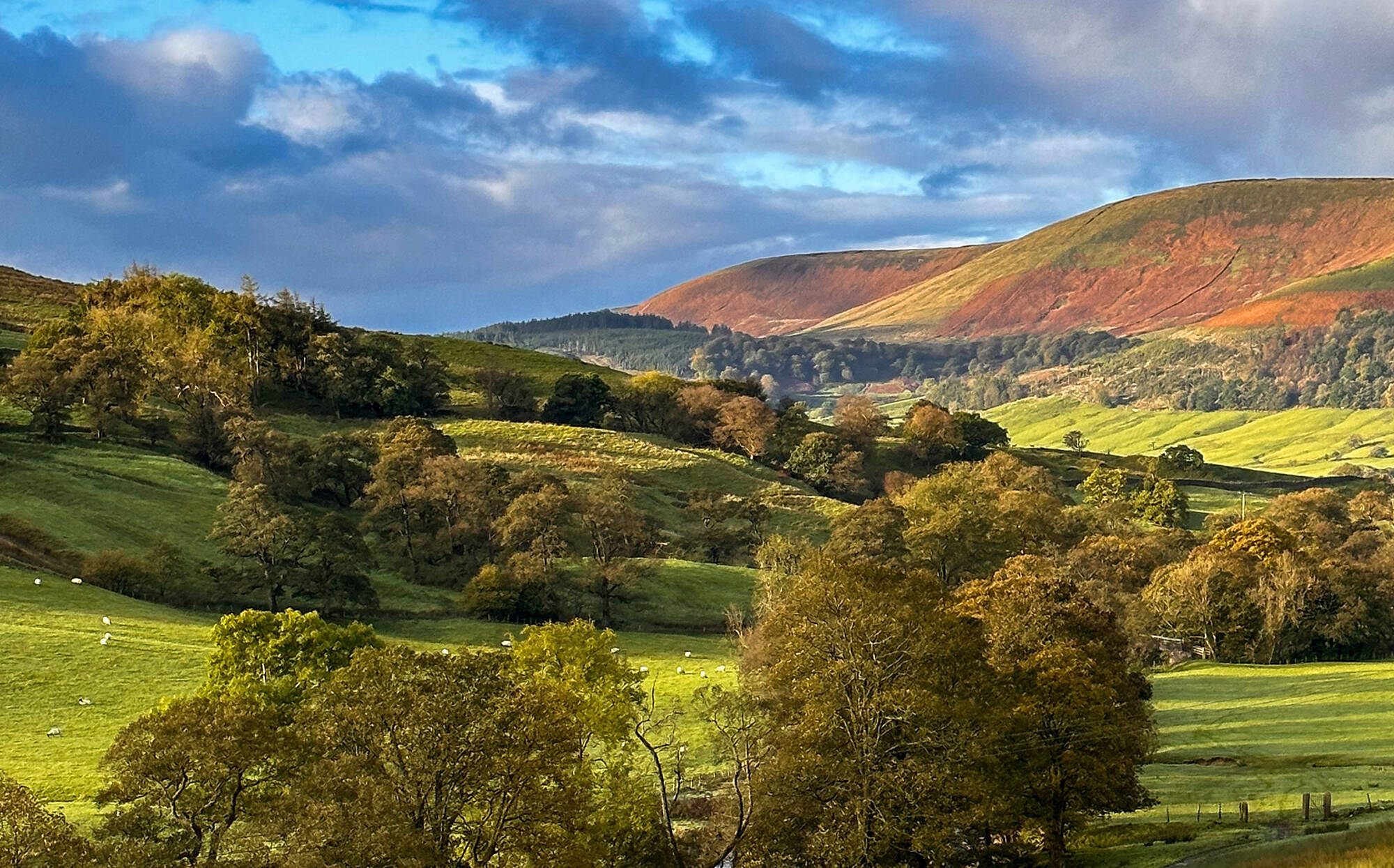 Foto: Día lúcido en el valle Ribble. (Visit Ribble Valley)