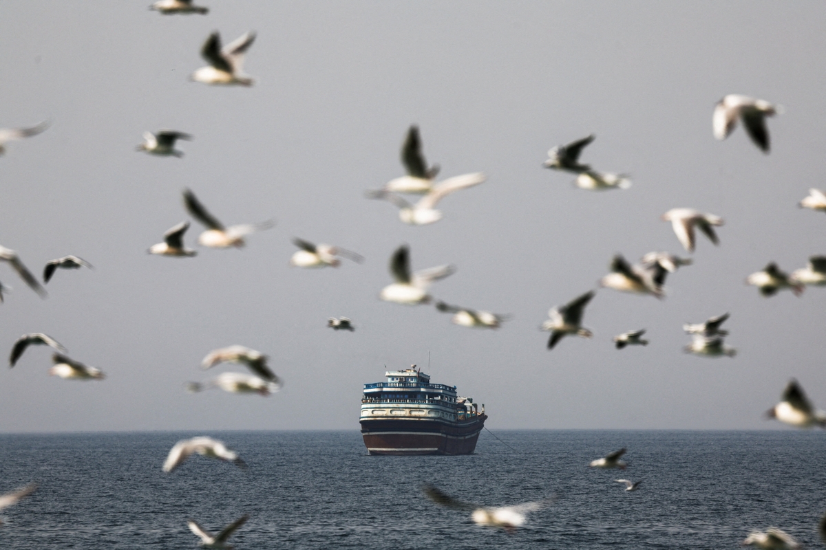 Pájaros vuelan cerca de un barco en el estrecho de Ormuz en medio del conflicto entre Estados Unidos e Israel con Irán, visto desde Omán (Amr Alfiky / Reuters)