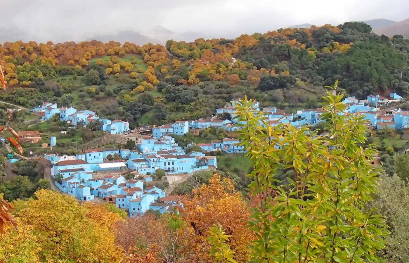Foto: El pueblo azul de Andalucía que parece la aldea pitufa. (Diputación de Málaga)