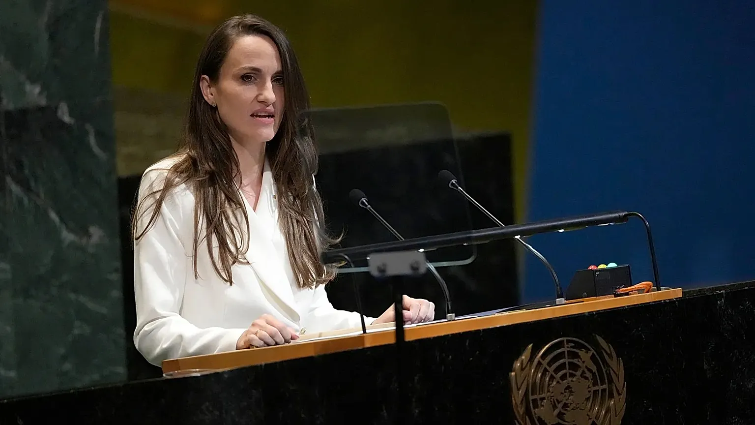 Minister for Foreign Affairs of Romania Oana Ţoiu