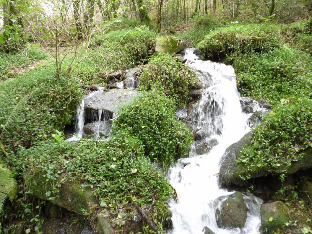 Foto: La ruta de senderismo que tienes que hacer esta primavera en Pontevedra. (Turismo de Galicia)