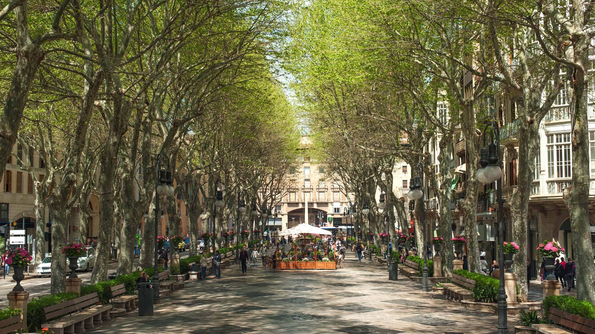 Foto: La calle de Palma de Mallorca que es una de las más bonitas de España. (Illes Balears)