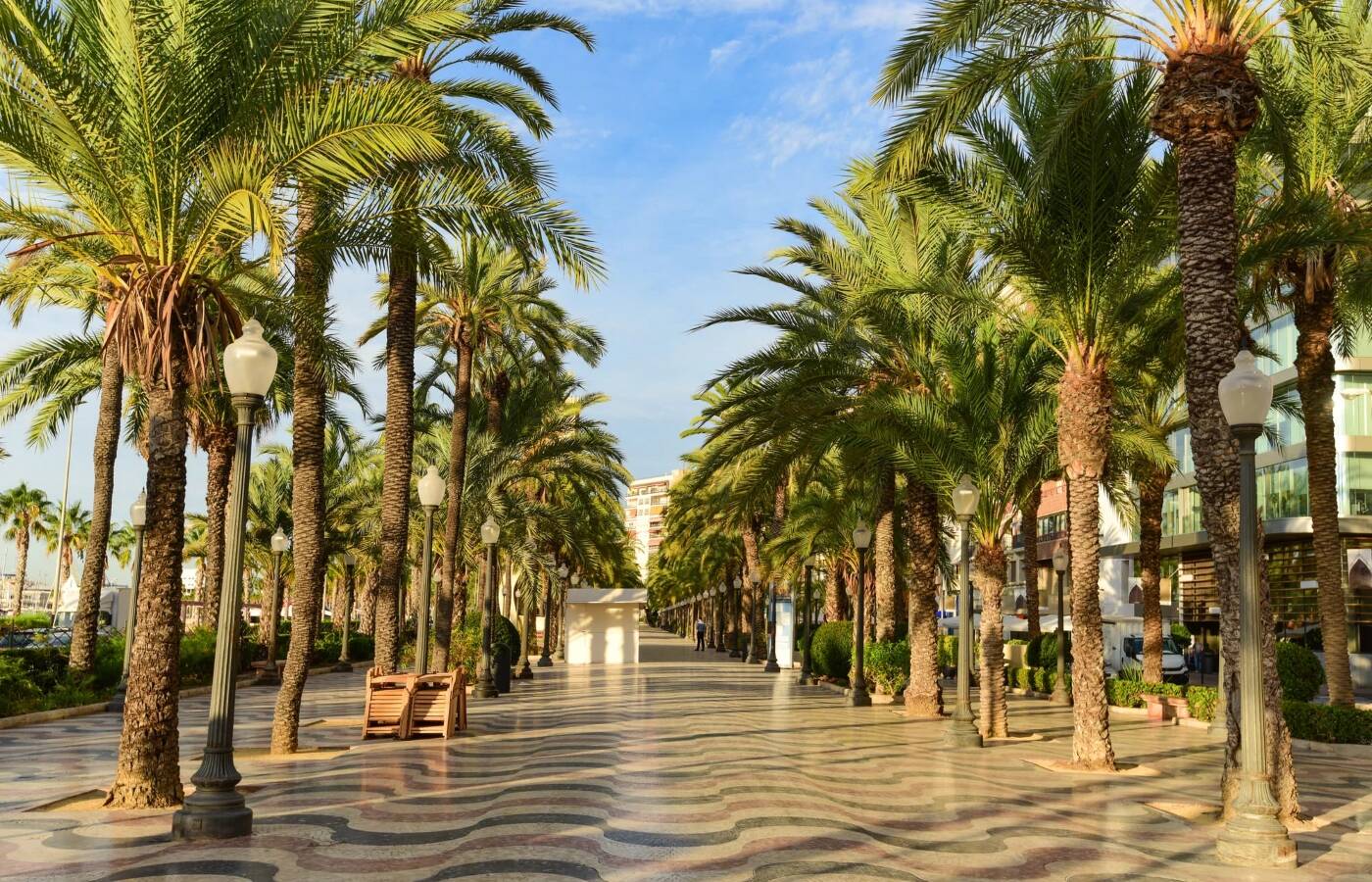 Foto: El paseo marítimo que es una de las calles más bonitas de España. (Alicante Turismo)