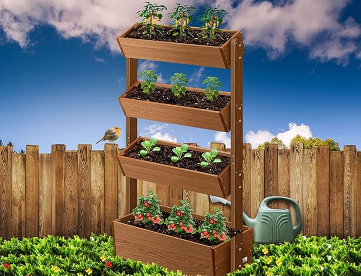 6 plantas que roban el espacio en tu huerto elevado: Evita estos errores para una cosecha abundante - image 1