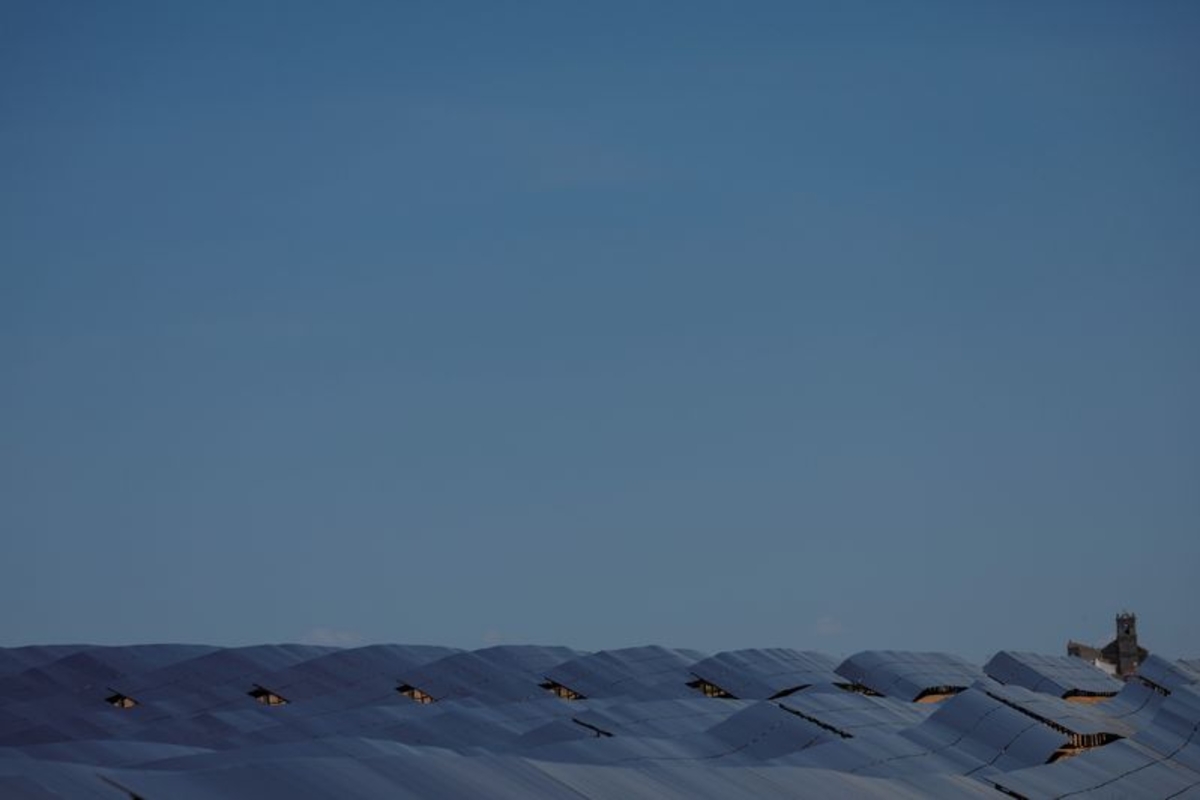 FOTO DE ARCHIVO. Un conjunto de paneles solares en un parque de energía solar en Saelices, España. 11 de mayo de 2022. 11 de mayo de 2022. REUTERS/Susana Vera