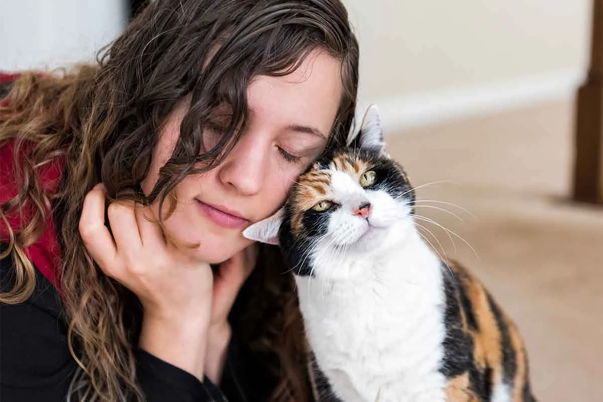 7 maneiras surpreendentes como ter um gato melhora sua vida, com ciência - image 1