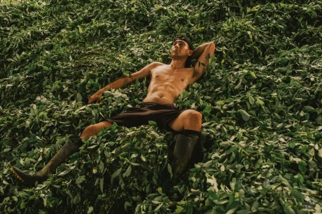 Darwin, un joven recolector de hojas de coca, descansa sobre un montículo de hojas de coca recién cosechadas, reunidas por los otros trabajadores antes de que sean picadas y procesadas en la comunidad rural de Jordán Guisia, en Putumayo, Colombia.