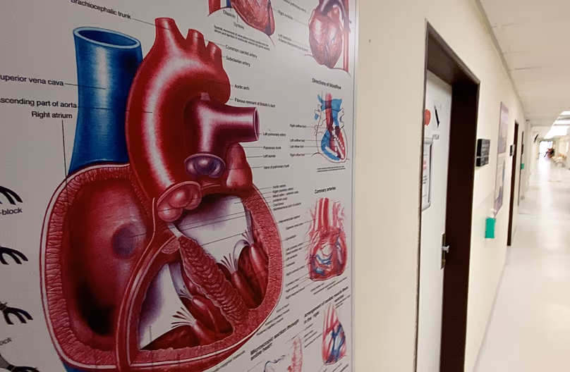 Some 40,000 people are diagnosed with heart arrhythmia every year in Czechia