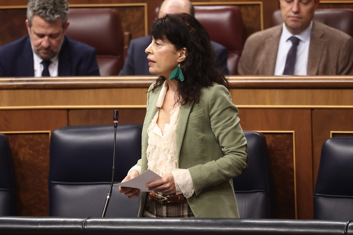La ministra de Igualdad, Ana Redondo, en una sesión de control al Gobierno. (Eduardo Parra / Europa Press)