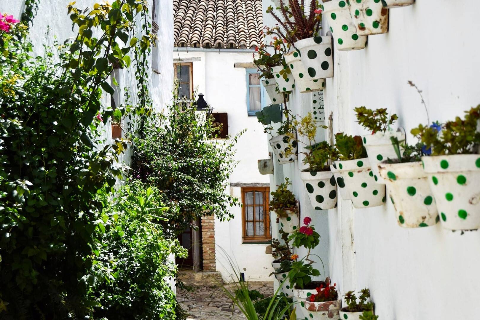 Foto: La villa-fortaleza que domina un cerro en pleno parque natural de Cádiz. (Turismo de Cádiz)
