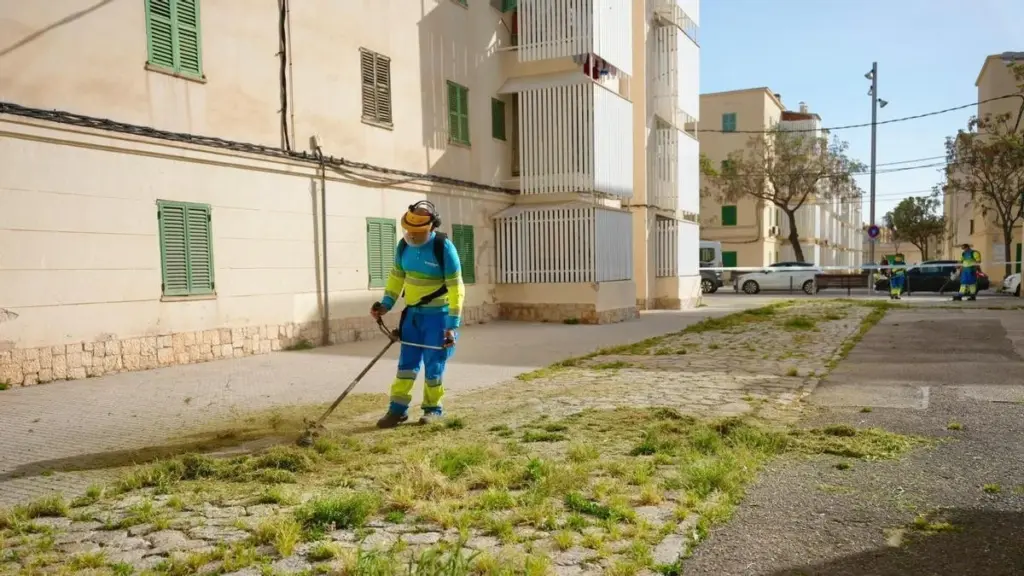 Aceras limpias en Palma: el plan de Emaya para eliminar la maleza sin químicos