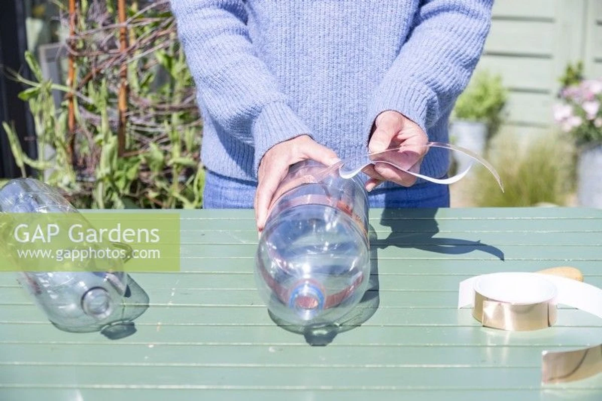 Adiós a caracoles y babosas: el truco de la botella para salvar tu huerto - image 1