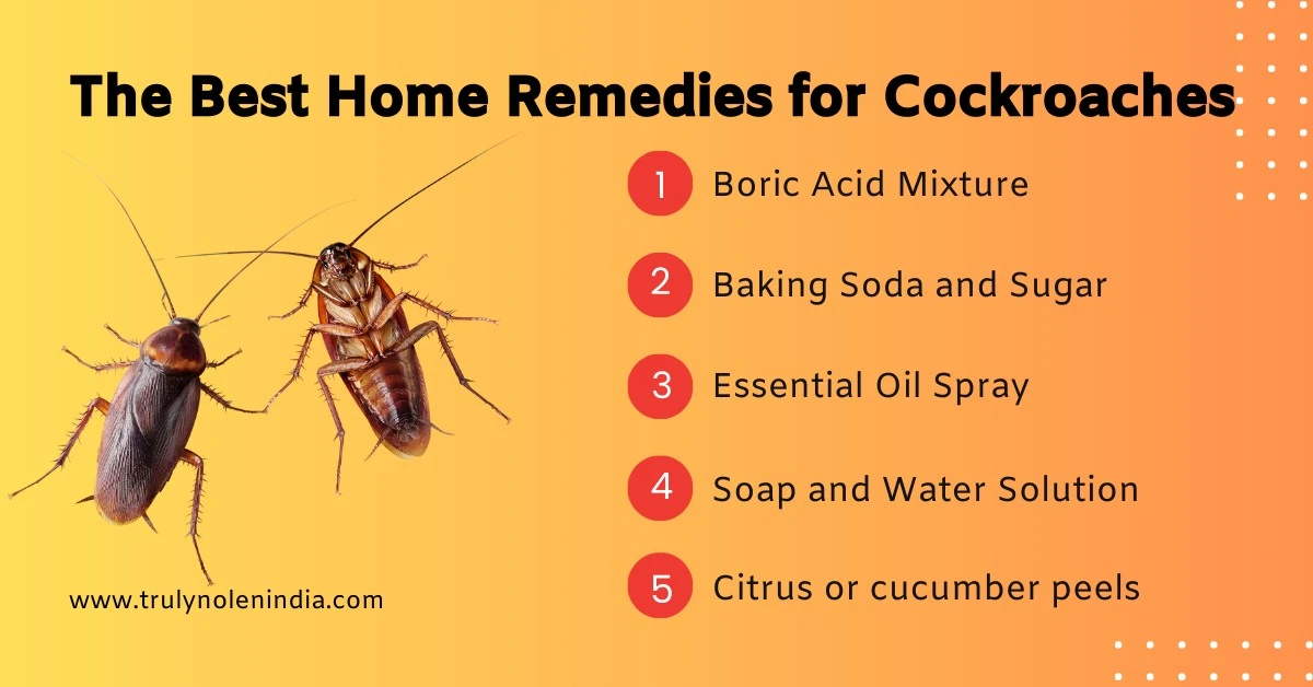 Adiós a la cucaracha: el truco del bicarbonato de sodio para tu cocina - image 1