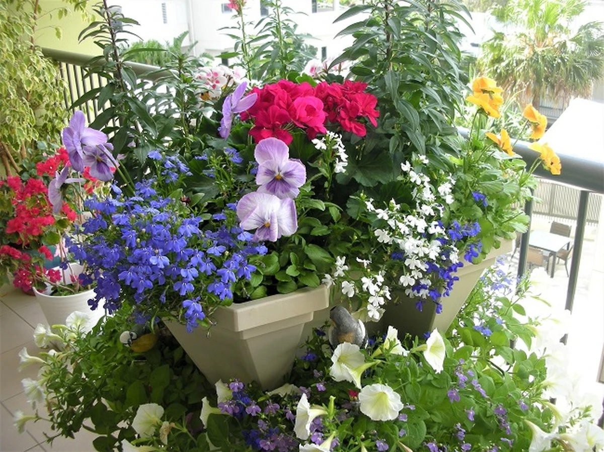 Adiós a las macetas secas: mi jardín en miniatura con flores comestibles - image 1