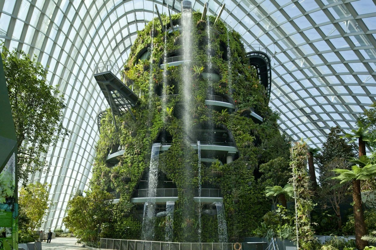 Adiós a las plantas marchitas: el secreto centenario de Starkl y Gartencenter Starkl - image 1